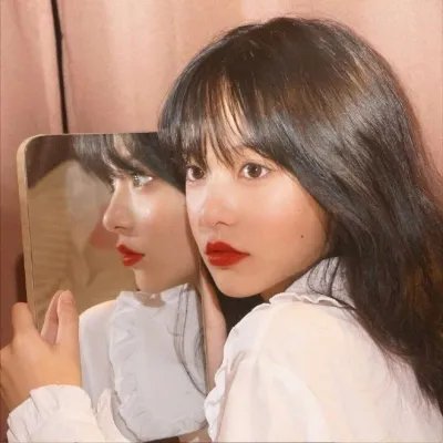 海葵