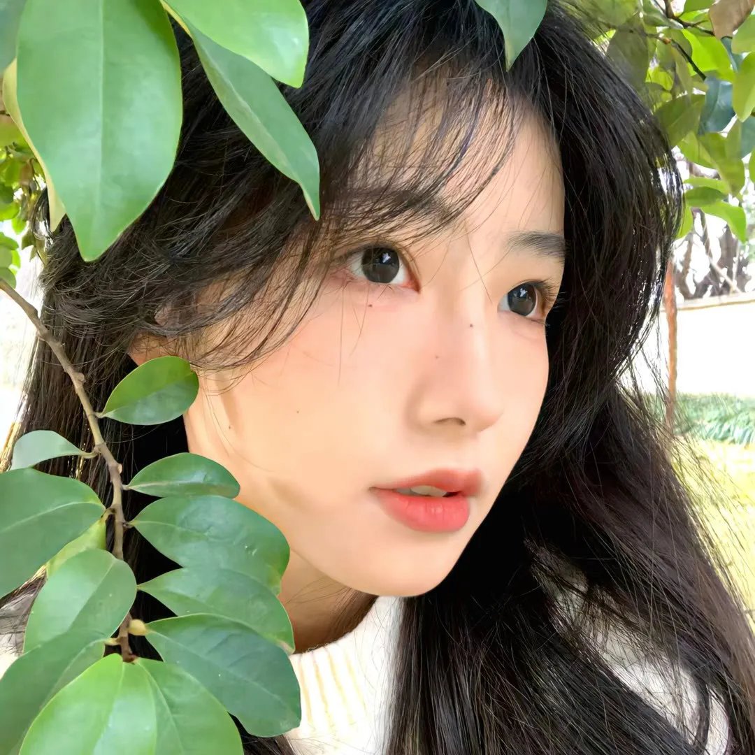 天堂幻鸟